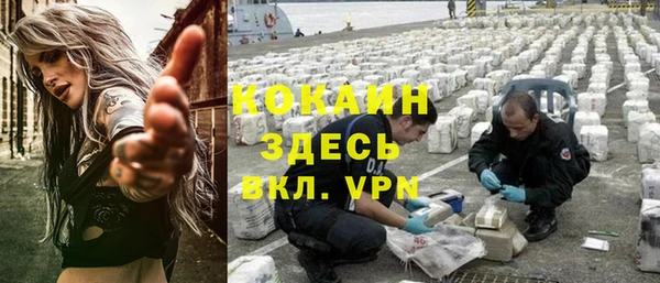индика Алексеевка
