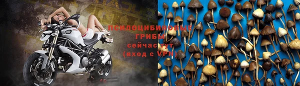 индика Алексеевка