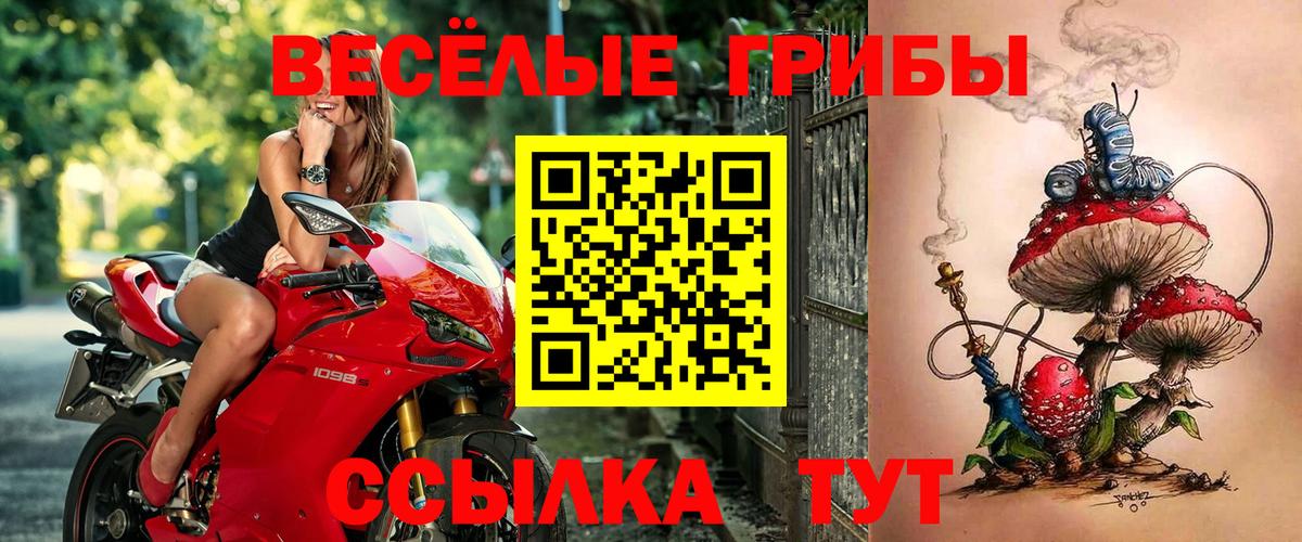 Брянск  Галлюциногенные грибы ЛСД  Вход с VPN 