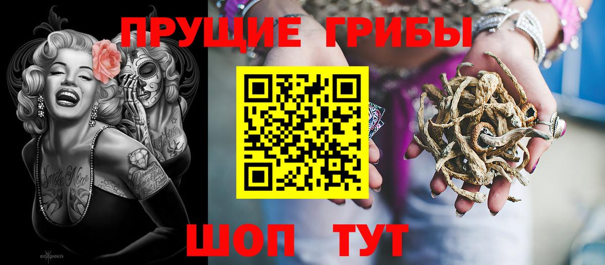 Псилоцибиновые грибы мицелий Брянск
